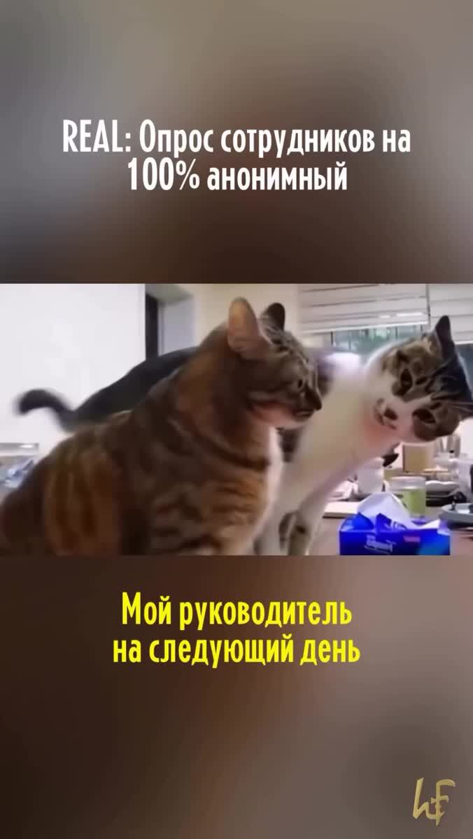 Точно анонимно? 