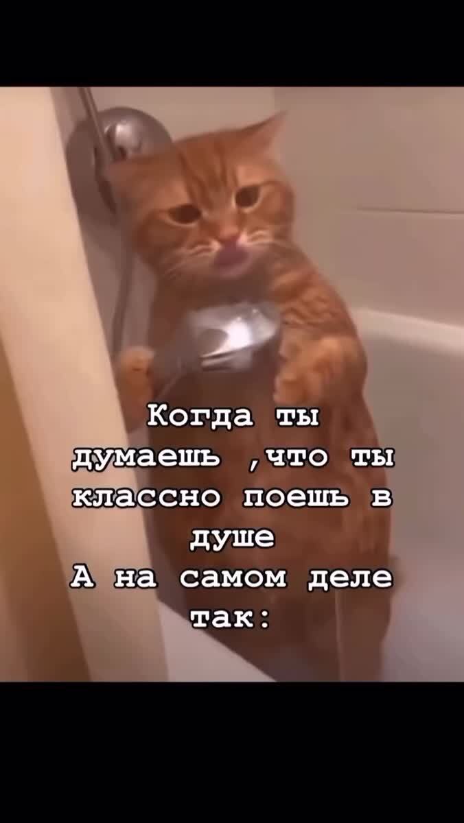 все мы немного певцы