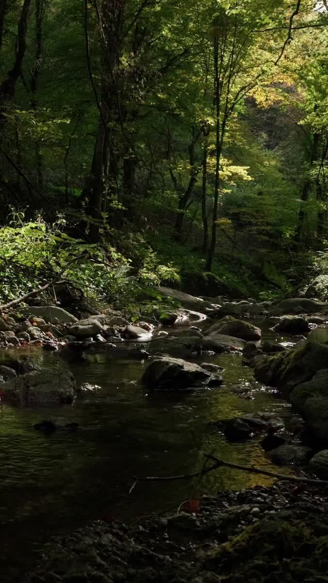 Умиротворяющие звуки воды 