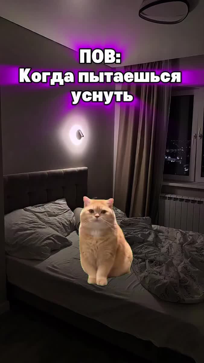 POV: когда пытаешься уснуть 