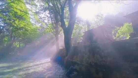 Утро в парке, звуки природы 