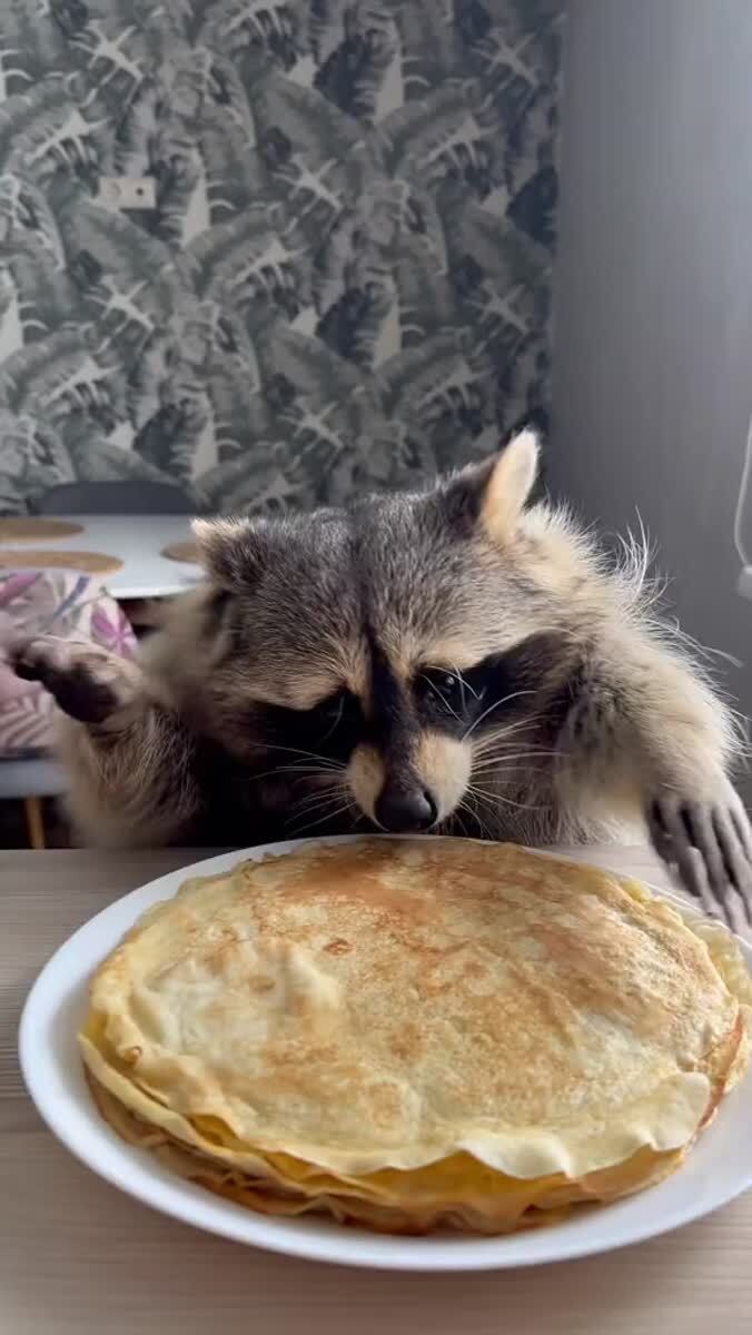 Масленичный дозор