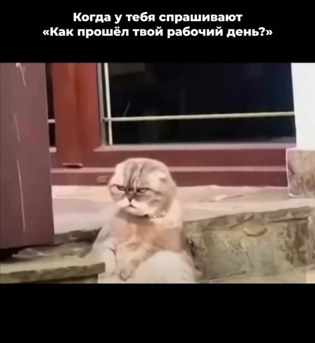Когда спросили Как прошел твой день