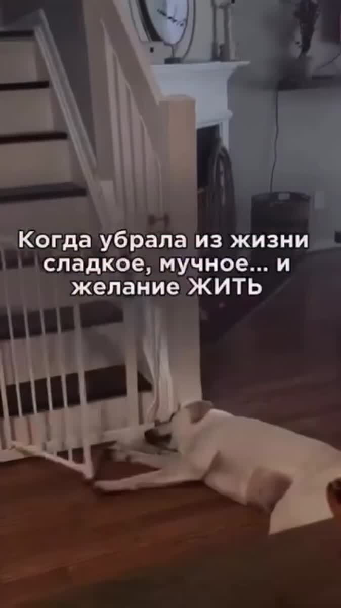Когда убрал из жизни все вредное…