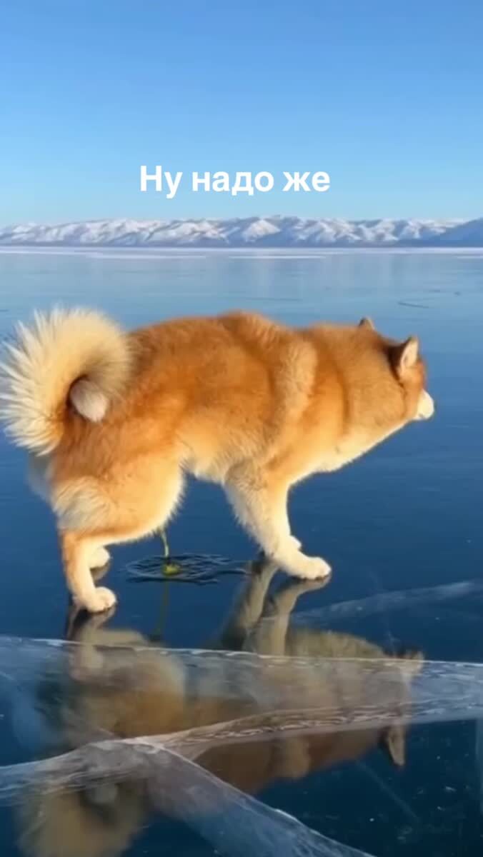 Ну надо же 😂