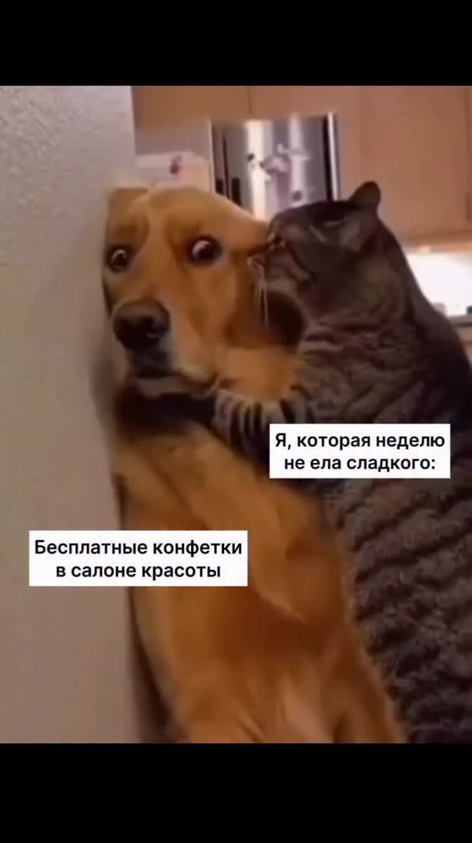 как перестать постоянно хотеть сладкого? 🤓 