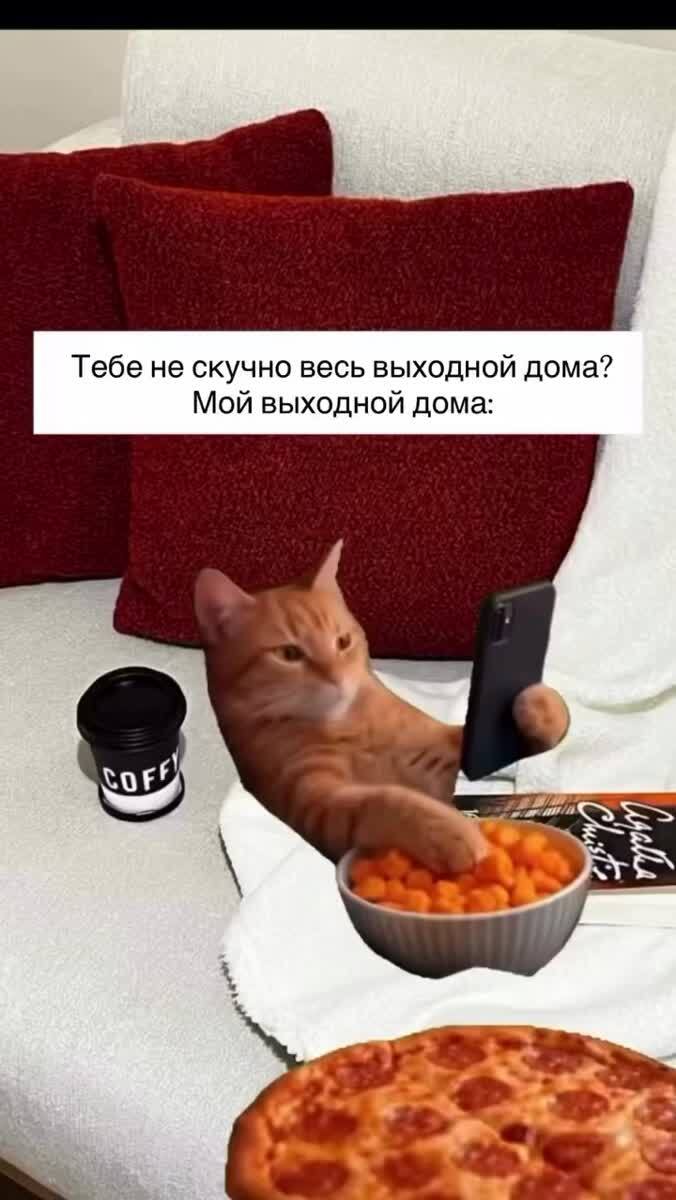 Не скучно 😋😴🍔
