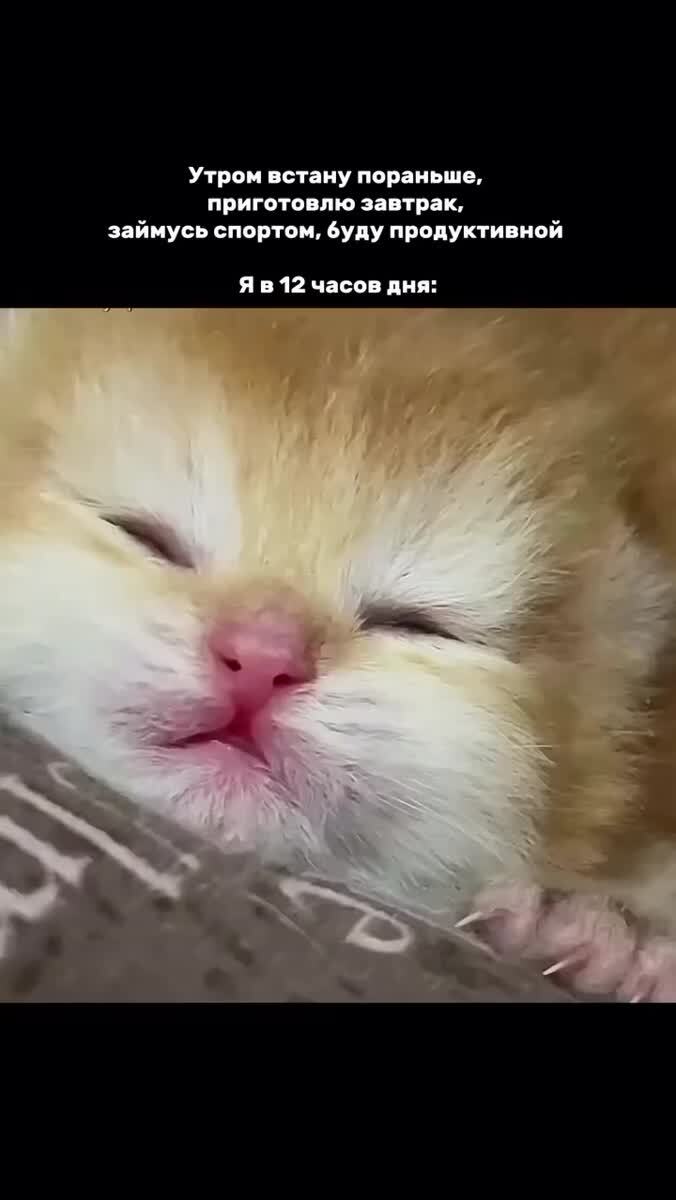 Утром встану пораньше 