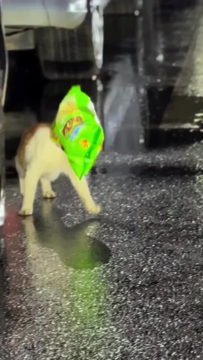 Lays… и котик счастливый 