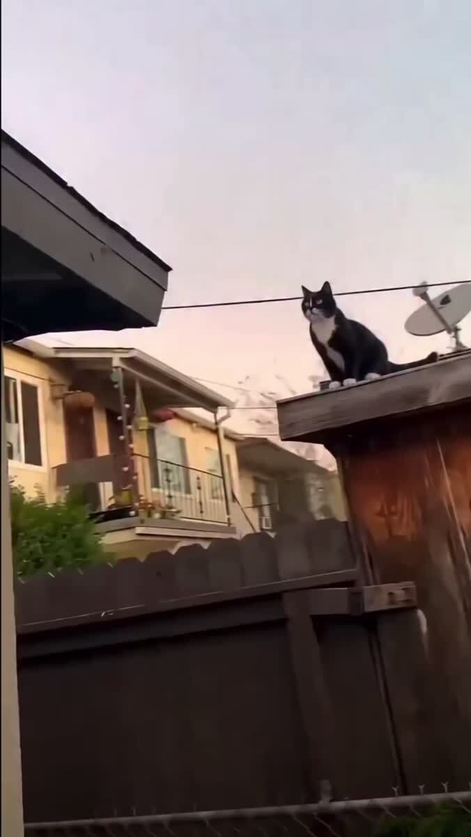 Кошмар приснился 