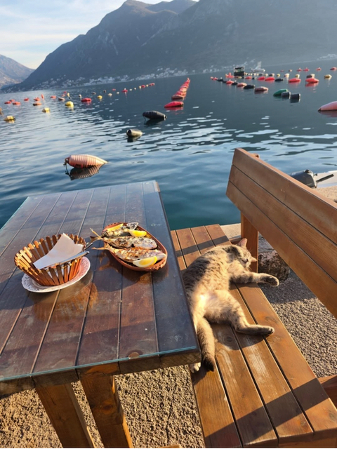 Больше не могу есть...уберите это