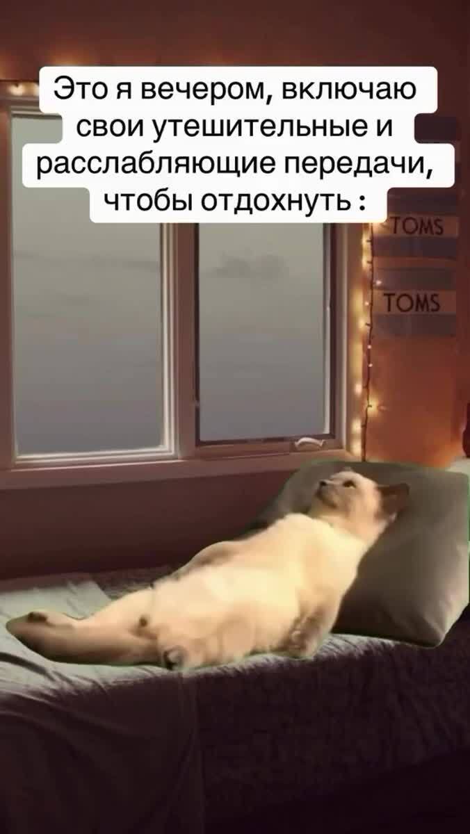 Мои программы для расслабления