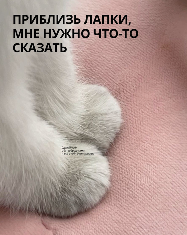 Сделай чаёк с бутербродиками и всё у тебя будет хорошо