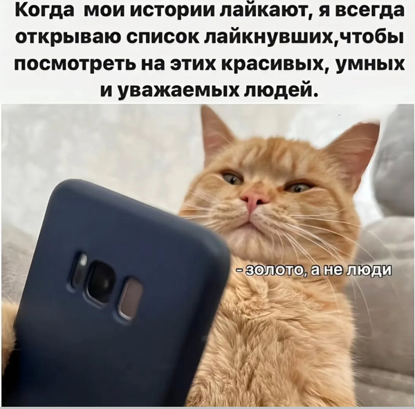 Когда мои истории лайкают, я всегда открываю список лайкнувших, чтобы посмотреть на этих красивых, умных и уважаемых людей