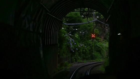 Вот бы прокатиться на таком поезде 🚆 