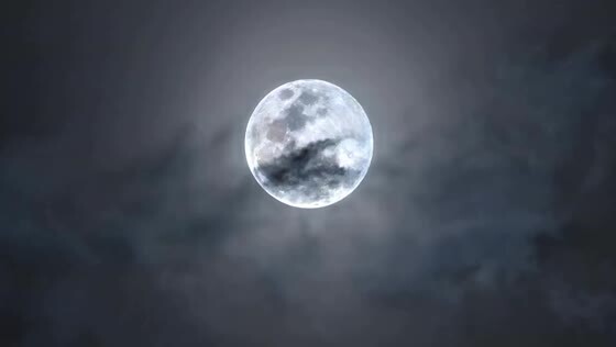🌑🌒🌓🌔🌕🌖🌗🌘🌑