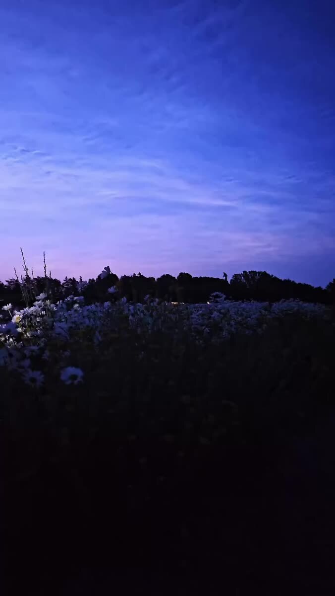 Как красиво  🌷