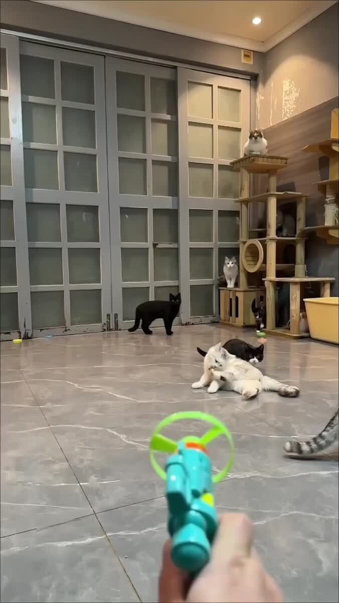 Я и тот момент, когда удача и успех постучали...