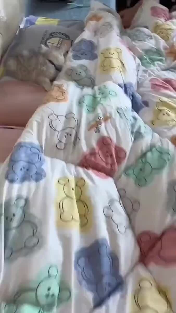 Чем больше котиков, тем лучше!