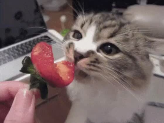 Вот бы клубничку покушать! 🍓