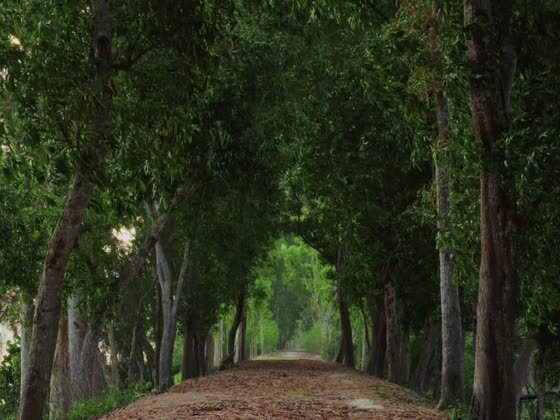 Самые лучшие звуки – звуки природы 🌿