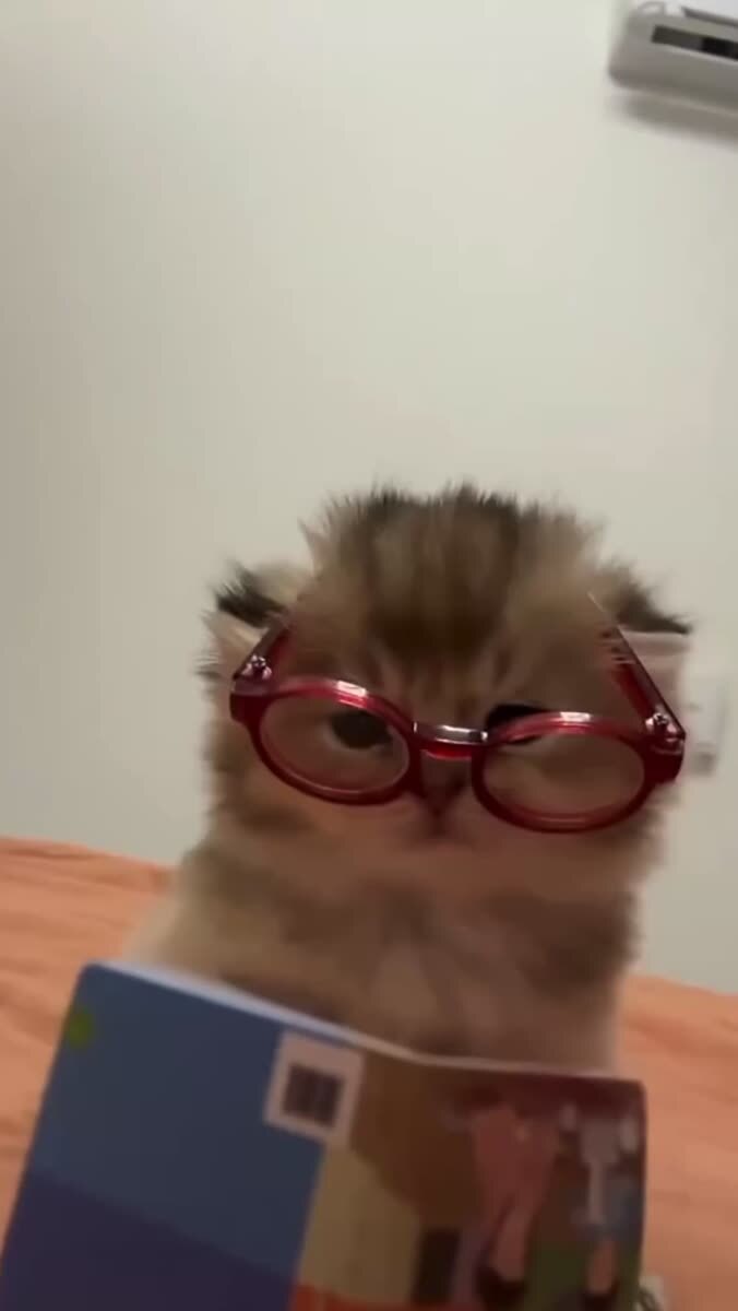 Он же не умеет читать 😭