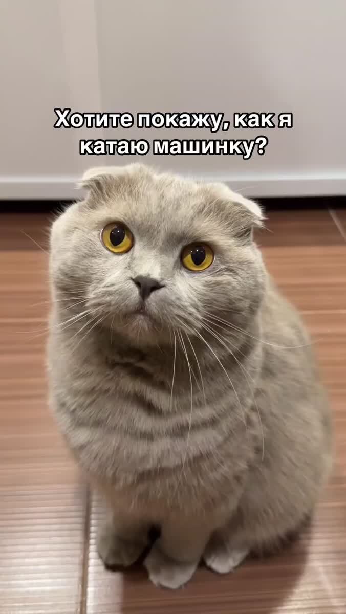 Вот у кого нужно брать уроки вождения! 