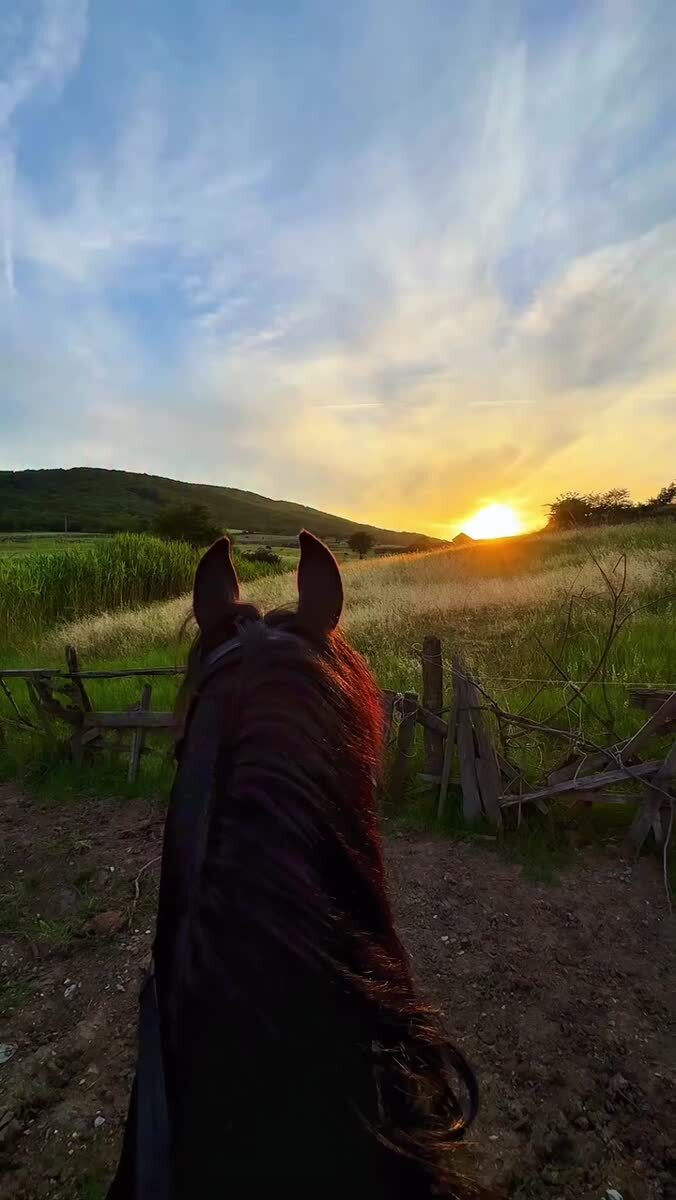 🐎 