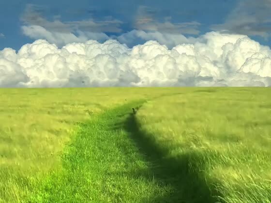 Выглядит, как кадр из аниме! 
