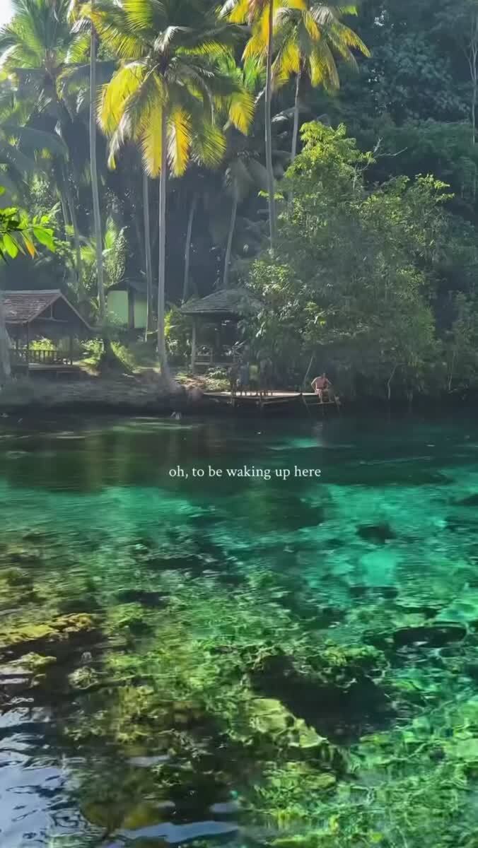 Вот бы сюда 🌴