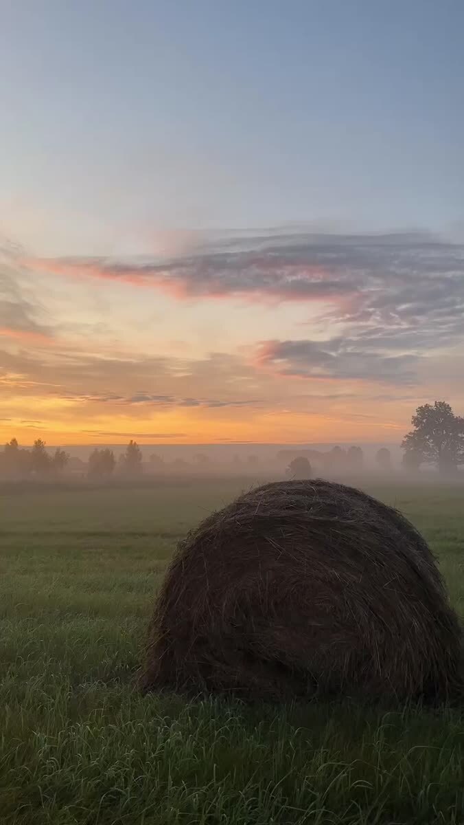 Утро 🌄 
