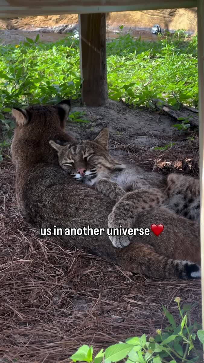 Мы в другой Вселенной ❤️