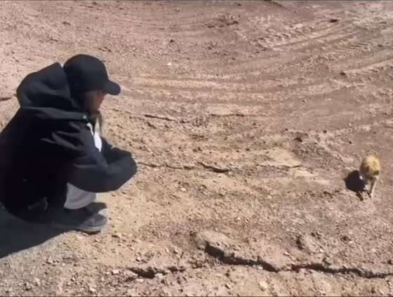 Совсем кроха!