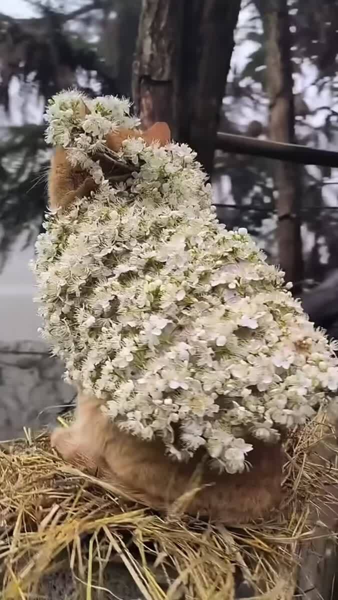 Какой наряд 