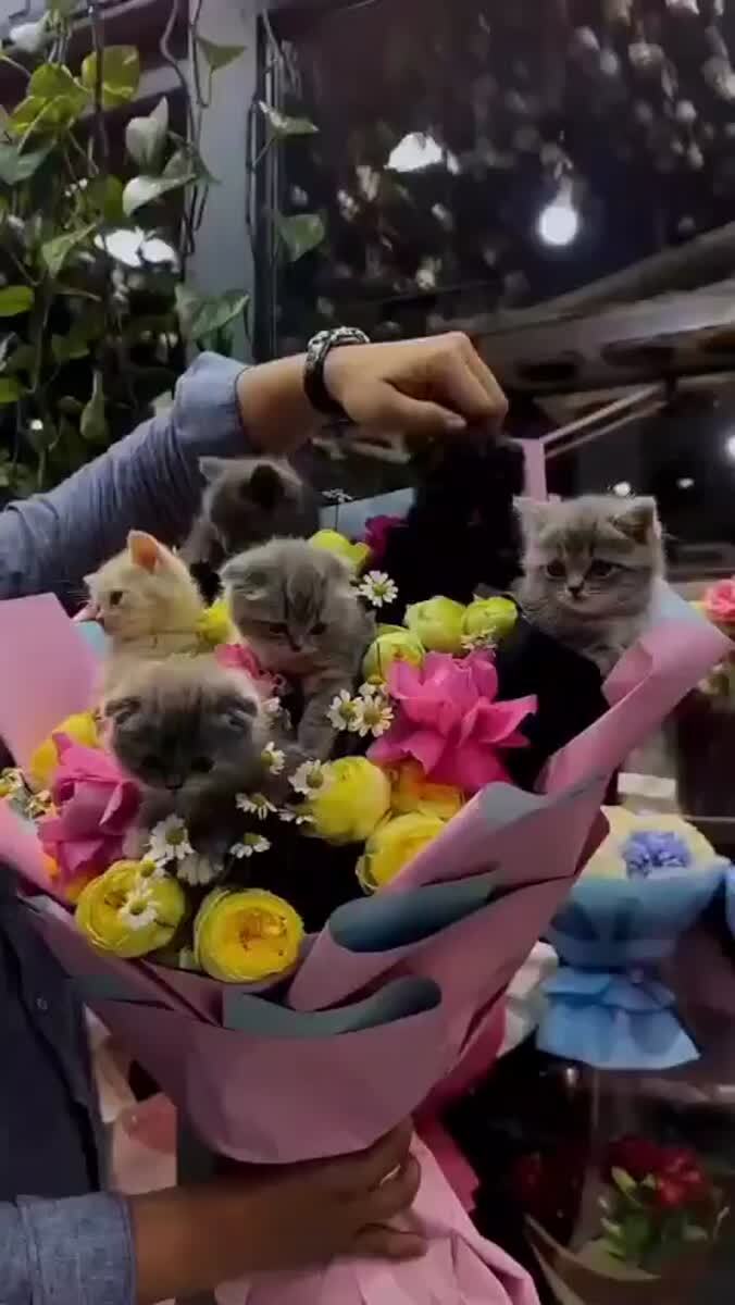 Подарите мне такой букет 💐 