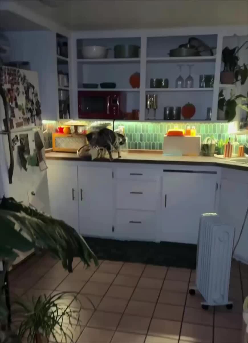 Ето моя добыча