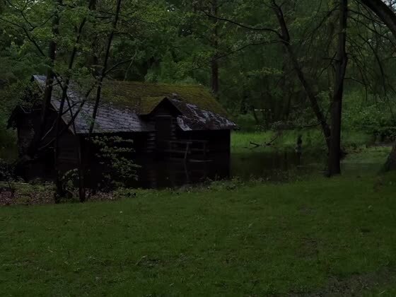 Как сразу хорошо от таких видео! 