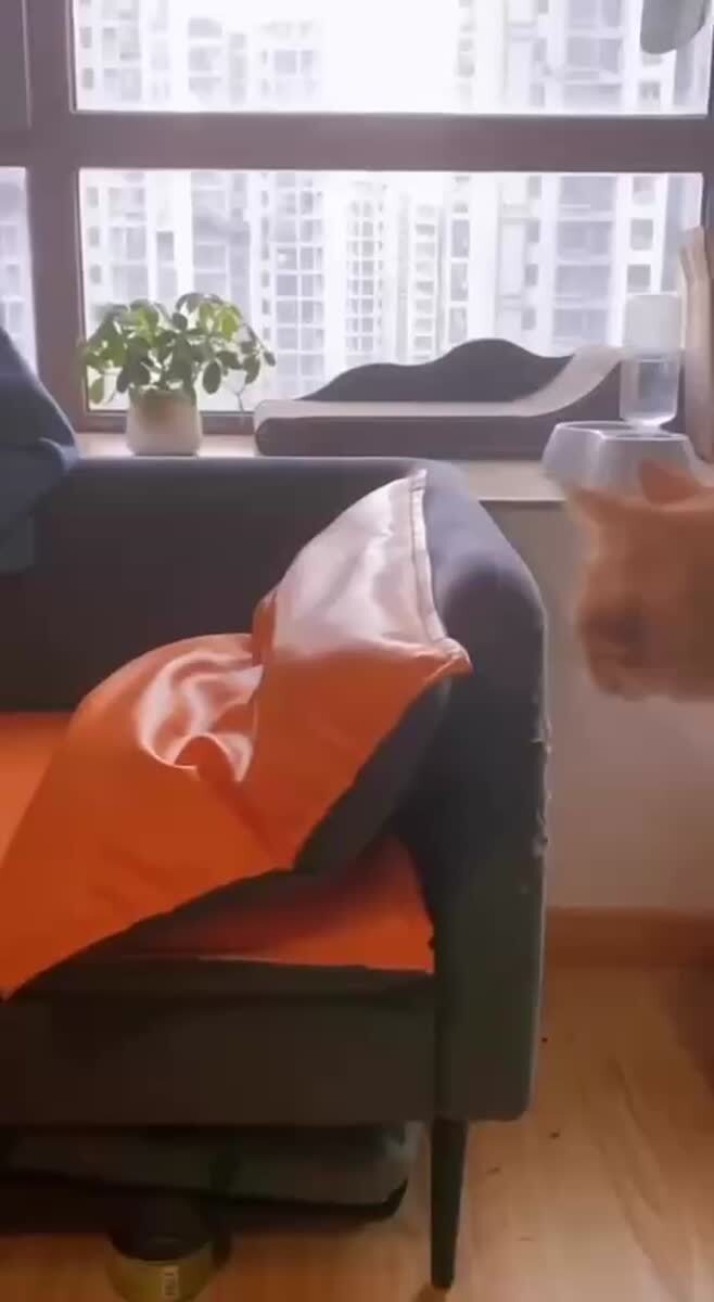 Сладких снов 😴