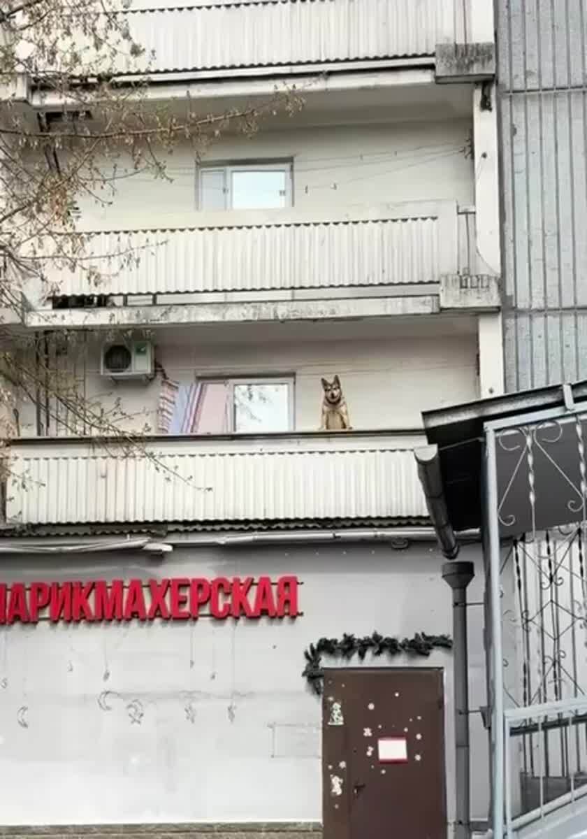 Есть ощущение, что он там в семейниках стоит