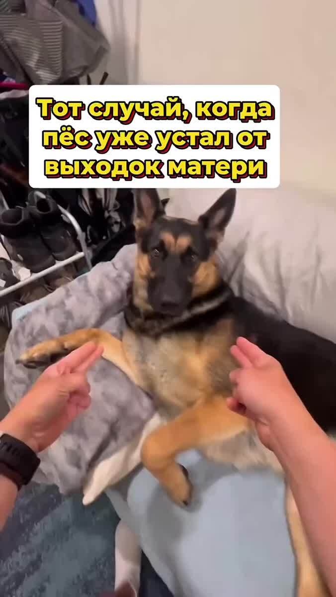 Мем #35248