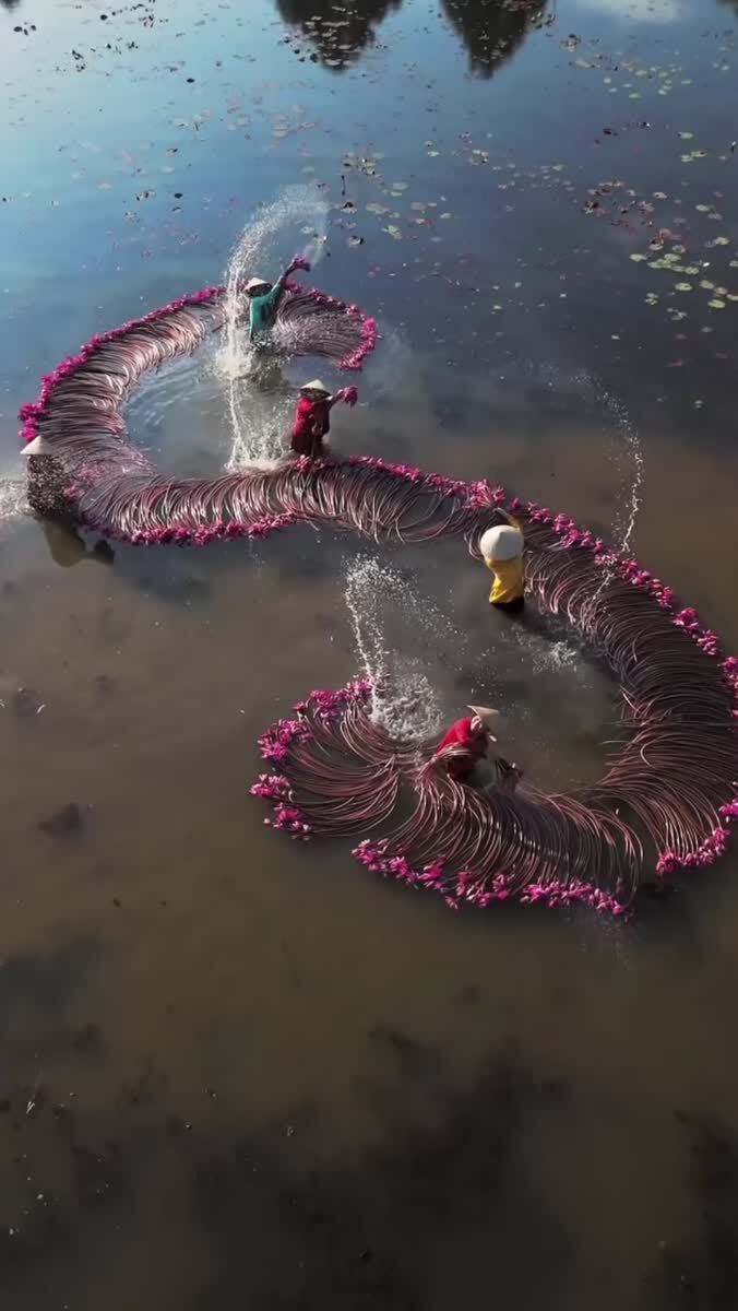 Vietnam 🪷