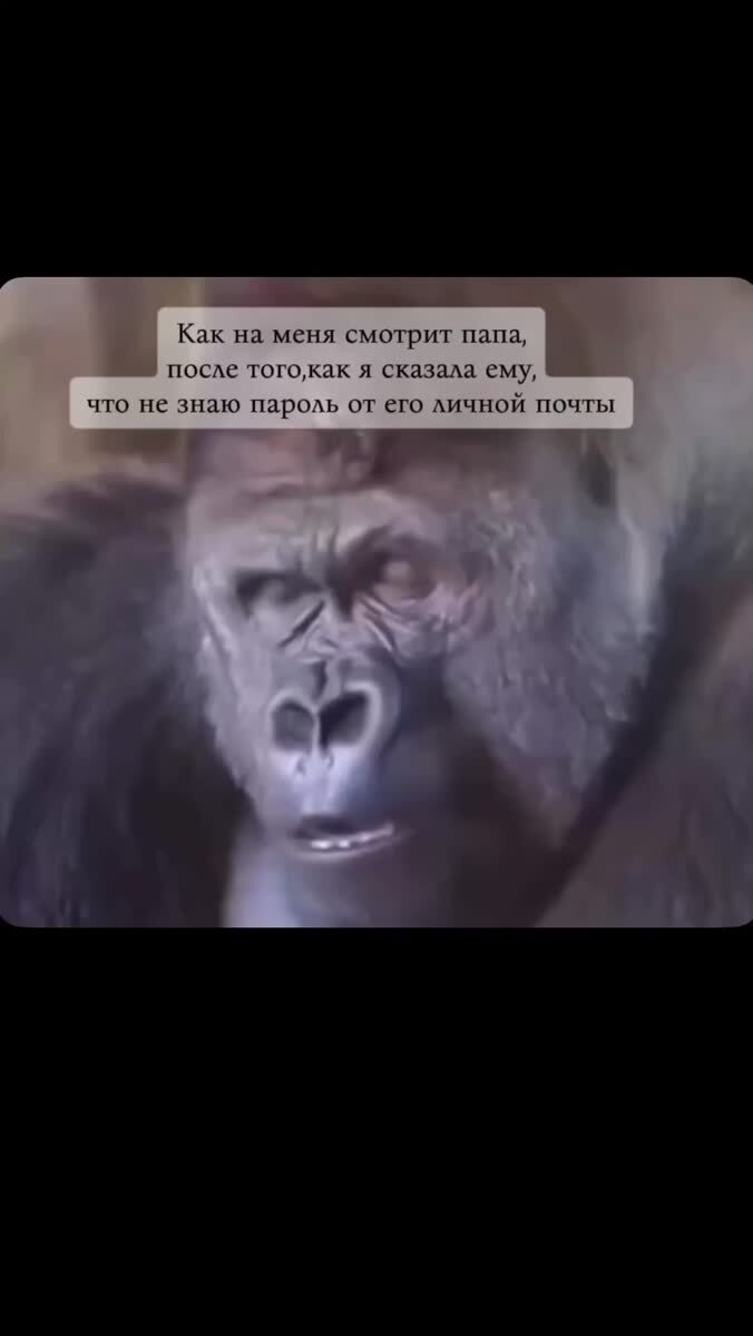 Или от госуслуг 