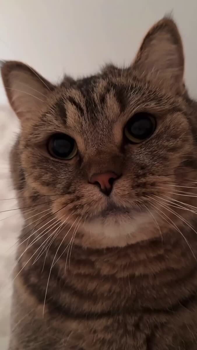 Лучший звук ☺️
