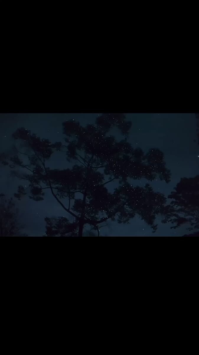 Сверчки 🌌