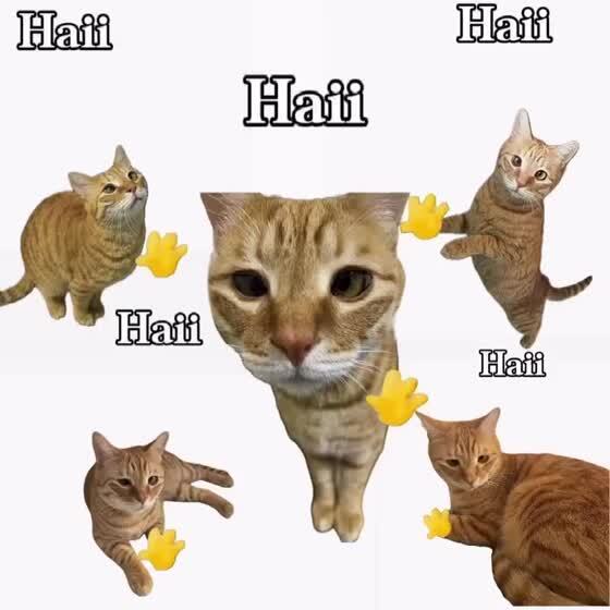 Привет? 