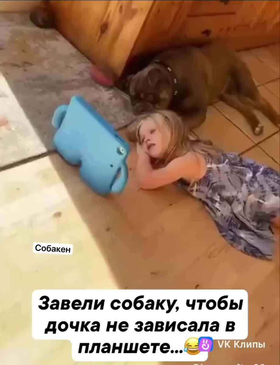 Завели собаку, что бы ребенок не сидел в телефоне
