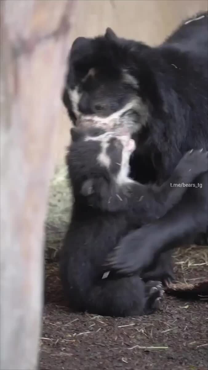 Обнимашки❤️