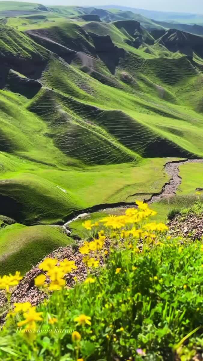 Красота