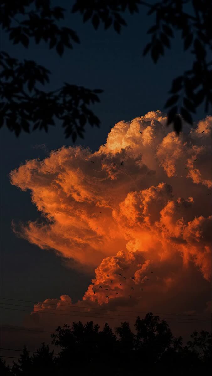 Волшебно 🤩 