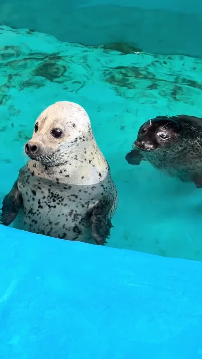 Самый милый взгляд 🥺